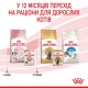 Royal Canin Kitten Jelly Вологий корм для кошенят (шматочки в желе) 85 г 12 шт