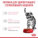 Royal Canin Kitten Sterilised Gravi Вологий корм для стерилізованих кошенят (шматочки у соусі) 85 г 12 шт