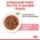 Royal Canin Kitten Gravi Вологий корм для кошенят (шматочки у соусі) 85 г 12 шт