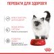 Royal Canin Kitten Gravi Вологий корм для кошенят (шматочки у соусі) 85 г 12 шт