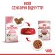 Royal Canin Kitten Gravi Вологий корм для кошенят (шматочки у соусі) 85г 12шт