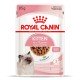 Royal Canin Kitten Gravi Вологий корм для кошенят (шматочки у соусі) 85 г 12 шт