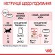 Royal Canin Kitten Jelly Вологий корм для кошенят (шматочки в желе) 85 г 12 шт