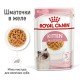 Royal Canin Kitten Jelly Вологий корм для кошенят (шматочки в желе) 85 г 12 шт