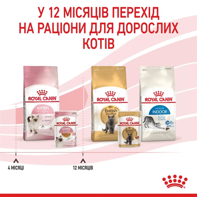 Royal Canin Kitten Jelly Вологий корм для кошенят (шматочки в желе) 85г 12шт