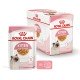 Royal Canin Kitten Jelly Вологий корм для кошенят (шматочки в желе) 85г 12шт