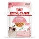 Royal Canin Kitten Jelly Вологий корм для кошенят (шматочки в желе) 85 г 12 шт