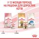 Royal Canin Kitten Loaf Вологий корм для кошенят (паштет) 85г 12шт