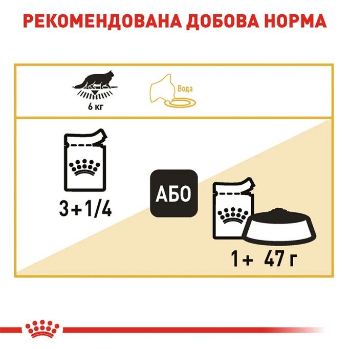 Royal Canin Maine Coon Adult Вологий корм для дорослих котів породи Мейн-Кун (шматочки у соусі) 85 г 12 шт