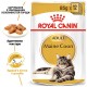 Royal Canin Maine Coon Adult Вологий корм для дорослих котів породи Мейн-Кун (шматочки у соусі) 85 г 12 шт
