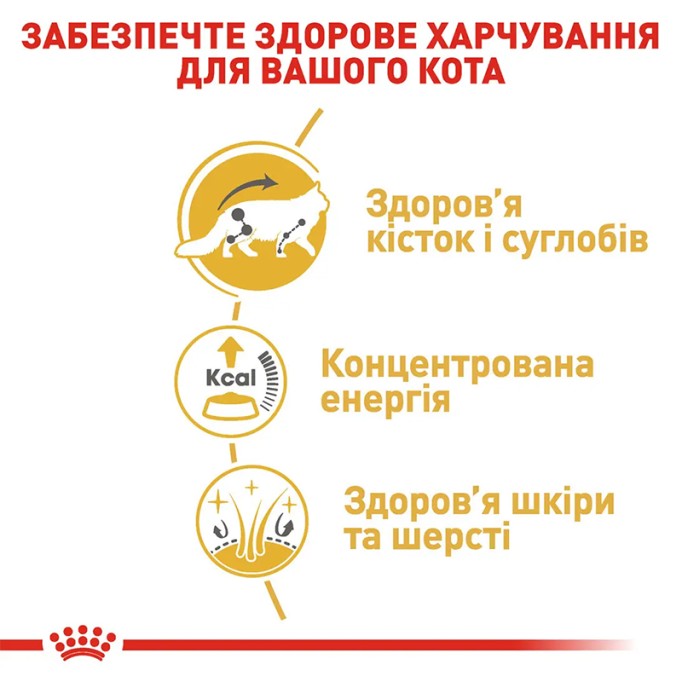 Royal Canin Maine Coon Adult Вологий корм для дорослих котів породи Мейн-Кун (шматочки у соусі) 85 г 12 шт