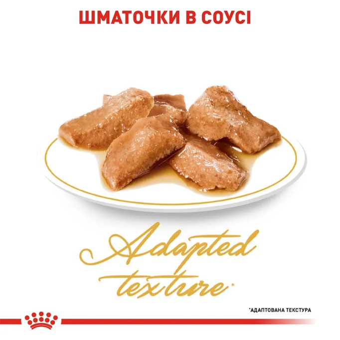 Royal Canin Maine Coon Adult Вологий корм для дорослих котів породи Мейн-Кун (шматочки у соусі) 85г 12шт