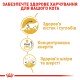 Royal Canin Maine Coon Adult Вологий корм для дорослих котів породи Мейн-Кун (шматочки у соусі) 85г 12шт