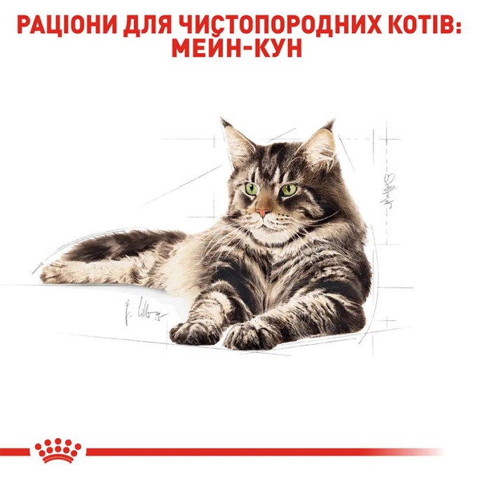 Royal Canin Maine Coon Adult Вологий корм для дорослих котів породи Мейн-Кун (шматочки у соусі) 85г 12шт