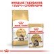 Royal Canin Maine Coon Adult Вологий корм для дорослих котів породи Мейн-Кун (шматочки у соусі) 85г 12шт