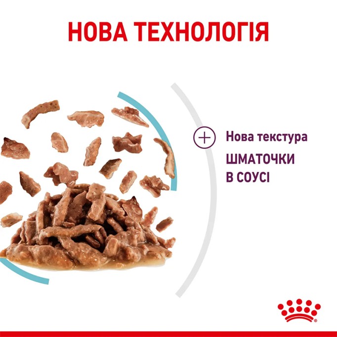 Royal Canin Sensory Feel Gravy Вологий корм для дорослих котів, який стимулює тактильні рецептори (шматочки у соусі) 85 г 12 шт