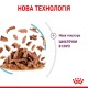 Royal Canin Sensory Feel Gravy Вологий корм для дорослих котів, який стимулює тактильні рецептори (шматочки у соусі) 85 г 12 шт
