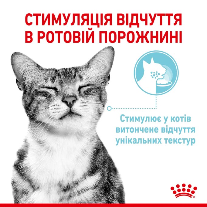Royal Canin Sensory Feel Gravy Вологий корм для дорослих котів, який стимулює тактильні рецептори (шматочки у соусі) 85 г 12 шт