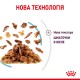 Royal Canin Sensory Feel Jelly Вологий корм для дорослих котів, який стимулює тактильні рецептори (шматочки в желе) 85 г 12 шт
