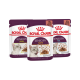Royal Canin Sensory MultiPac Набір вологого корму для дорослих котів (шматочки у соусі) 85г 12шт