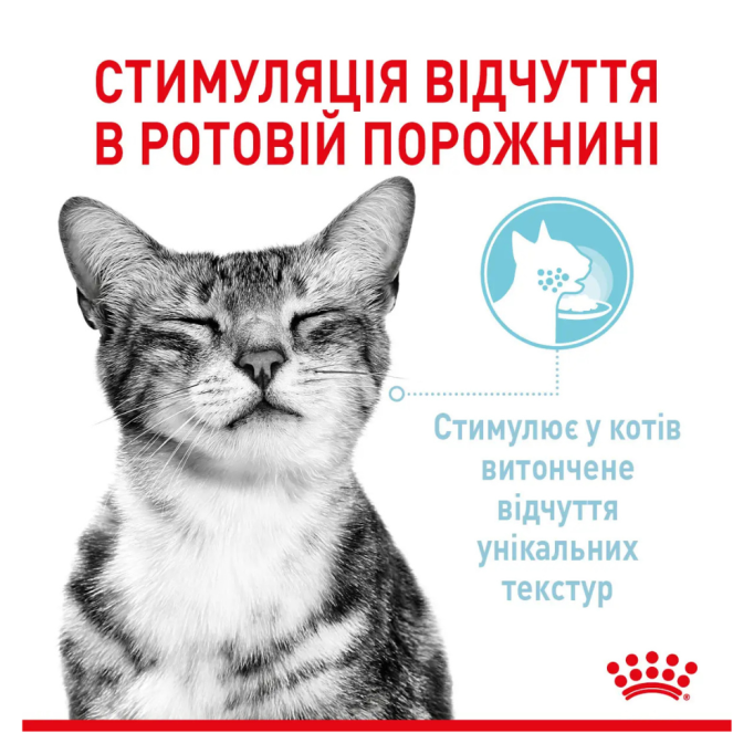 Royal Canin Sensory MultiPac Набір вологого корму для дорослих котів (шматочки у соусі) 85г 12шт