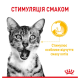 Royal Canin Sensory MultiPac Набір вологого корму для дорослих котів (шматочки у соусі) 85г 12шт