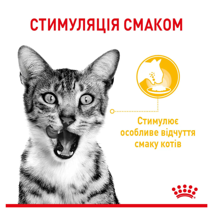 Royal Canin Sensory MultiPac Набір вологого корму для дорослих котів (шматочки у соусі) 85г 12шт
