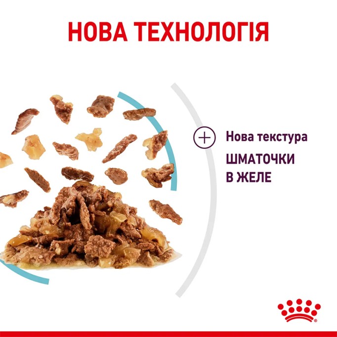 Royal Canin Sensory Feel Jelly Вологий корм для дорослих котів, який стимулює тактильні рецептори (шматочки в желе) 85г 12шт