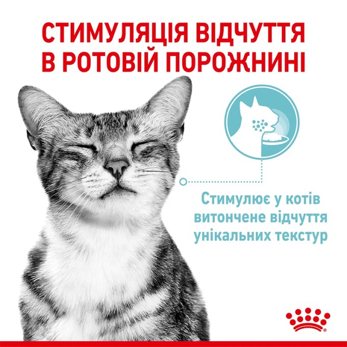 Royal Canin Sensory Feel Jelly Вологий корм для дорослих котів, який стимулює тактильні рецептори (шматочки в желе) 85г 12шт