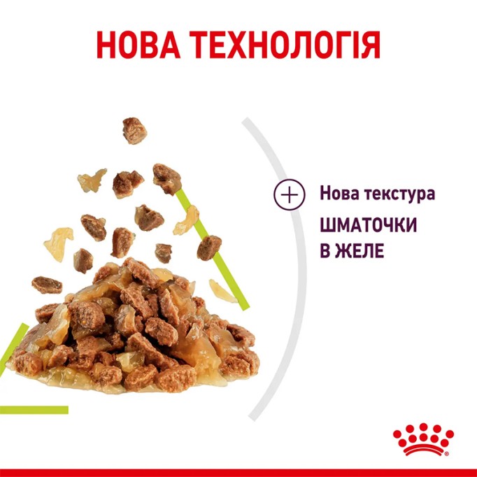 Royal Canin Sensory Smell Jelly Вологий корм для дорослих котів, який стимулює нюхові рецептори (шматочки в желе) 85 г 12 шт