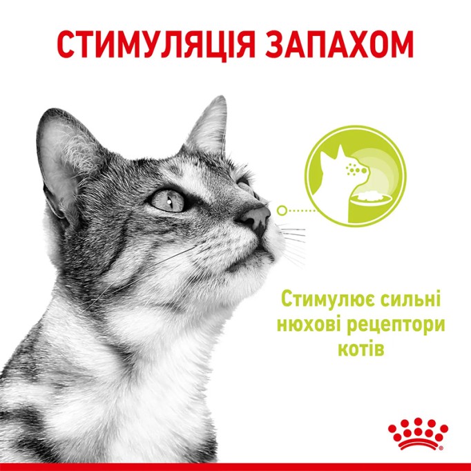 Royal Canin Sensory Smell Jelly Вологий корм для дорослих котів, який стимулює нюхові рецептори (шматочки в желе) 85 г 12 шт