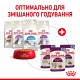 Royal Canin Sensory Smell Jelly Вологий корм для дорослих котів, який стимулює нюхові рецептори (шматочки в желе) 85 г 12 шт