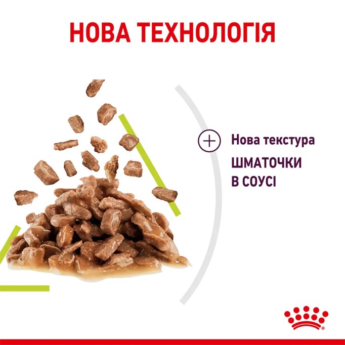 Royal Canin Sensory Smell Gravy Вологий корм для дорослих котів, який стимулює нюхові рецептори (шматочки у соусі) 85 г 12 шт