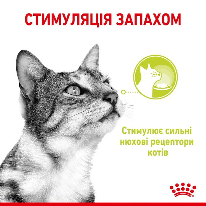 Royal Canin Sensory Smell Gravy Вологий корм для дорослих котів, який стимулює нюхові рецептори (шматочки у соусі) 85 г 12 шт