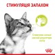 Royal Canin Sensory Smell Gravy Вологий корм для дорослих котів, який стимулює нюхові рецептори (шматочки у соусі) 85 г 12 шт