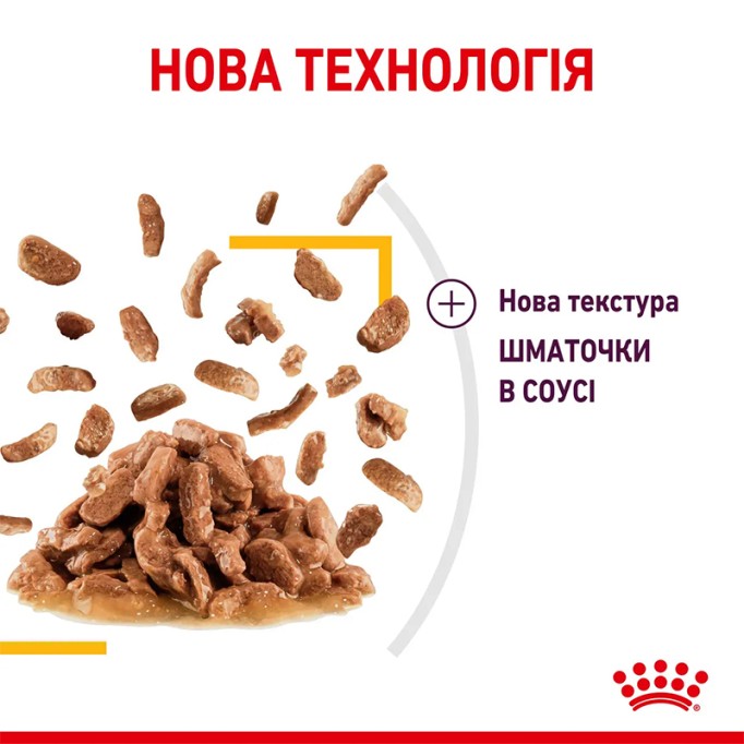 Royal Canin Sensory Taste Gravy Вологий корм для дорослих котів, який стимулює смакові рецептори (шматочки у соусі) 85 г 12 шт
