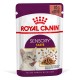 Royal Canin Sensory Taste Gravy Вологий корм для дорослих котів, який стимулює смакові рецептори (шматочки у соусі) 85г 12шт