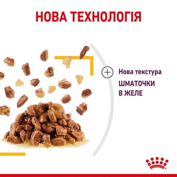 Royal Canin Sensory Taste Jelly Вологий корм для дорослих котів, який стимулює смакові рецептори (шматочки в желе) 85 г 12 шт