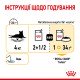 Royal Canin Sensory Taste Gravy Вологий корм для дорослих котів, який стимулює смакові рецептори (шматочки у соусі) 85 г 12 шт