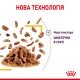 Royal Canin Sensory Taste Gravy Вологий корм для дорослих котів, який стимулює смакові рецептори (шматочки у соусі) 85 г 12 шт