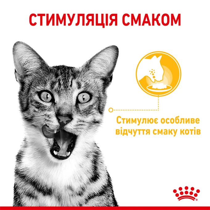 Royal Canin Sensory Taste Gravy Вологий корм для дорослих котів, який стимулює смакові рецептори (шматочки у соусі) 85г 12шт