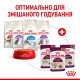 Royal Canin Sensory Taste Jelly Вологий корм для дорослих котів, який стимулює смакові рецептори (шматочки в желе) 85г 12шт