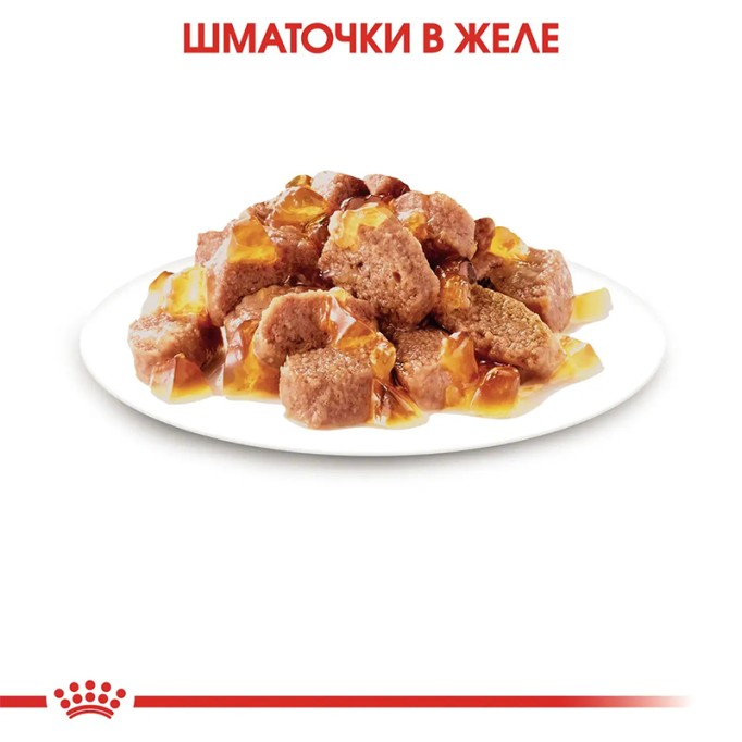 Royal Canin Sterilised Jelly Вологий корм для дорослих стерилізованих котів (шматочки в желе) 85г 12шт