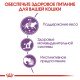 Royal Canin Sterilised Jelly Вологий корм для дорослих стерилізованих котів (шматочки в желе) 85г 12шт