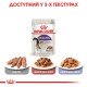 Royal Canin Sterilised Jelly Вологий корм для дорослих стерилізованих котів (шматочки в желе) 85г 12шт