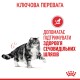Royal Canin Urinary Care Gravi Вологий корм для підтримання здоров’я сечовивідних шляхів дорослих котів (шматочки у соусі) 85 г 12 шт