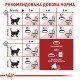 Royal Canin Fit 32 Сухий корм для дорослих котів, що бувають на вулиці 4 кг