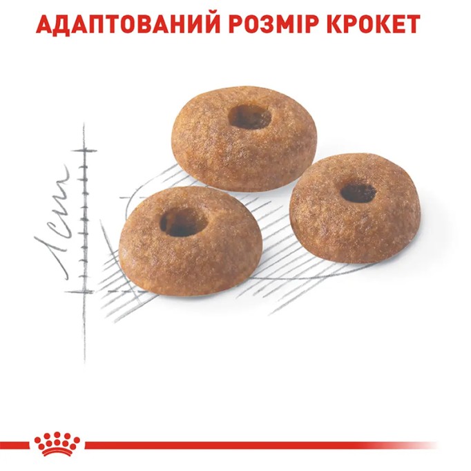 Royal Canin Fit 32 Сухий корм для дорослих котів, що бувають на вулиці 4 кг