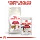 Royal Canin Fit 32 Сухий корм для дорослих котів, що бувають на вулиці 4 кг