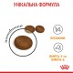 Royal Canin Hair & Skin Care Сухий корм для підтримання здоров’я шкіри та шерсті дорослих котів 4 кг